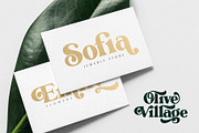 The Modern Typography Bundle, a Serif Font by Ivan Rosenberg (Thumbnail 44 of 58)