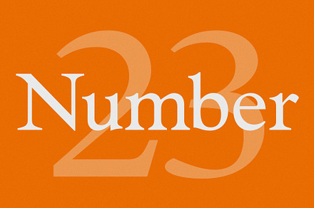 Number 23 Typeface