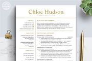 Best Resume CV Template Design, a Resume Template by The Art of Resume (Thumbnail 1 of 8)