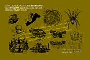 HARVEST GOTHIC Illustrations, a Seasonal Illustration by Desert Poetic (Thumbnail 6 of 10)