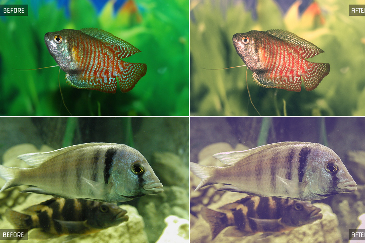 Underwater Lightroom Presets preview 4