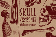 Skeleton Creator - Front & Profile, an Illustration by Andrea Tardivo (Thumbnail 2 of 5)