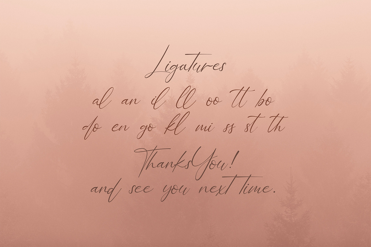 Bellamy Signature - Handwritten Font, a Script Font by StringLabs (Photo 13 of 13)