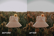 15 Fall Lightroom Presets, a Preset Add-On by TheWayfarerShoppe (Thumbnail 3 of 8)