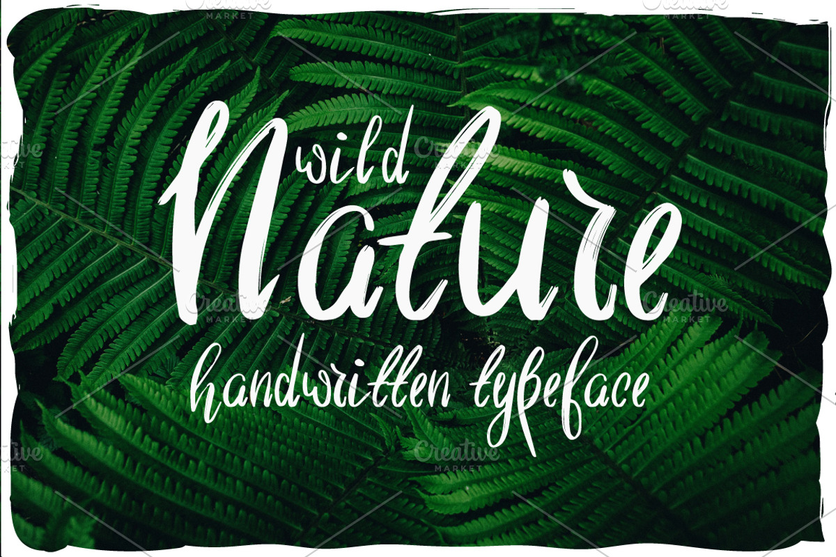 Wild Nature Script Typeface
