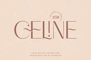 Chic & Creative Font Bundle Volume 2