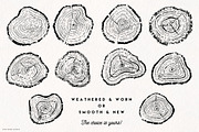 Timber Tree Vector Illustrations, an Object Illustration by Fire Spark Studio (Thumbnail 3 of 7)