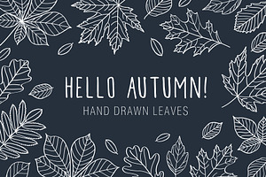 Hand drawn leaves of different trees