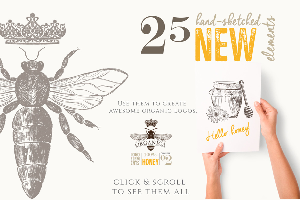 4 IN 1 ORGANIC LOGO ELEMENTS, a Food Illustration by Friendly Label (Photo 4 of 13)