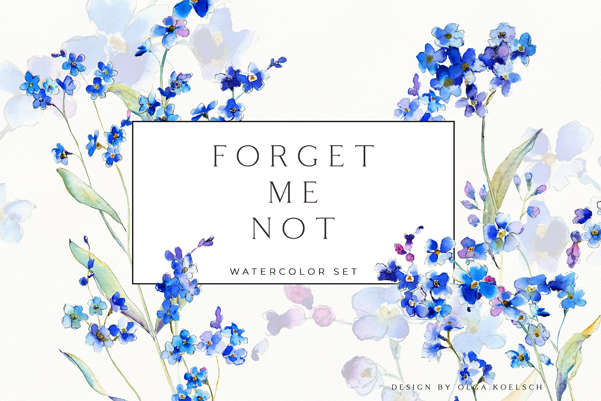 Forget-me-not watercolor, an Illustration by Olga Koelsch (Photo 1 of 7)