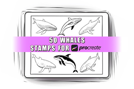 50 Whale Procreate Stamps Brushes
