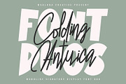 Colding Antuica Font Duo, a Sans Serif Font by Maulana Creative (Thumbnail 1 of 7)