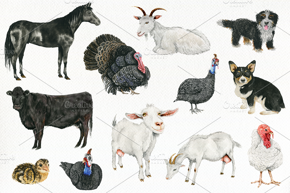 Farm Animals 1-2 Illustrations, a Decorative Illustration by DioFlow (Photo 2 of 4)