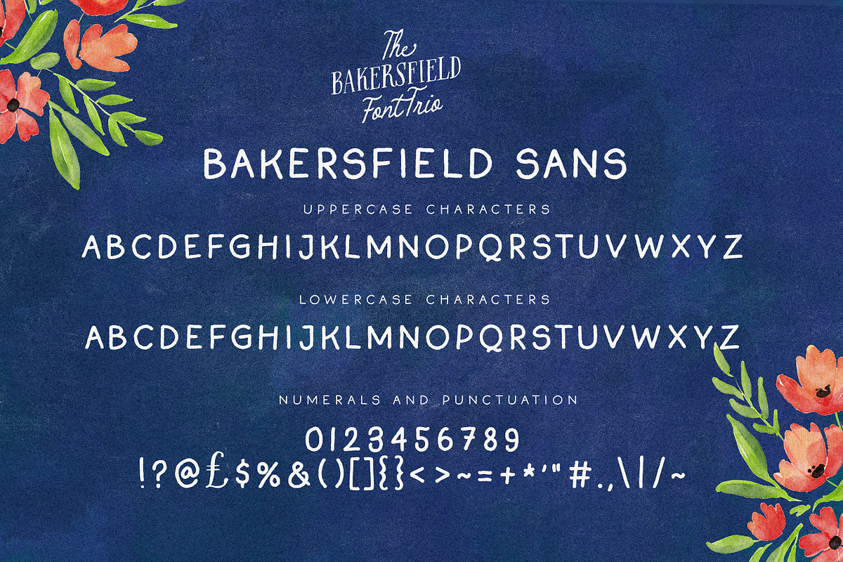 The Bakersfield Font Trio, a Handwritten Font by Nicky Laatz (Photo 18 of 18)