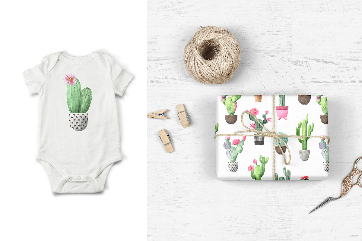 Watercolor Exotic Cactus Collection, a Texture Illustration by LarysaZabrotskaya (Photo 8 of 11)