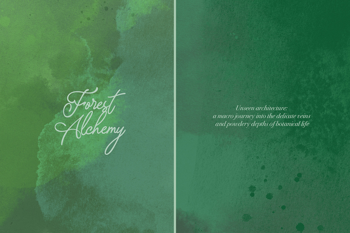 Mystical Botanical Backgrounds, a Background Graphic by Elena Pimonova (Photo 9 of 10)