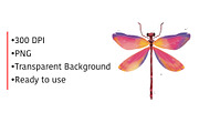 Cute insects set, an Illustration by Tiny Wonder Arts (Thumbnail 2 of 2)