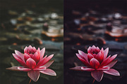 Dark Photoshop Actions, an Action Add-On by Bato (Thumbnail 3 of 11)