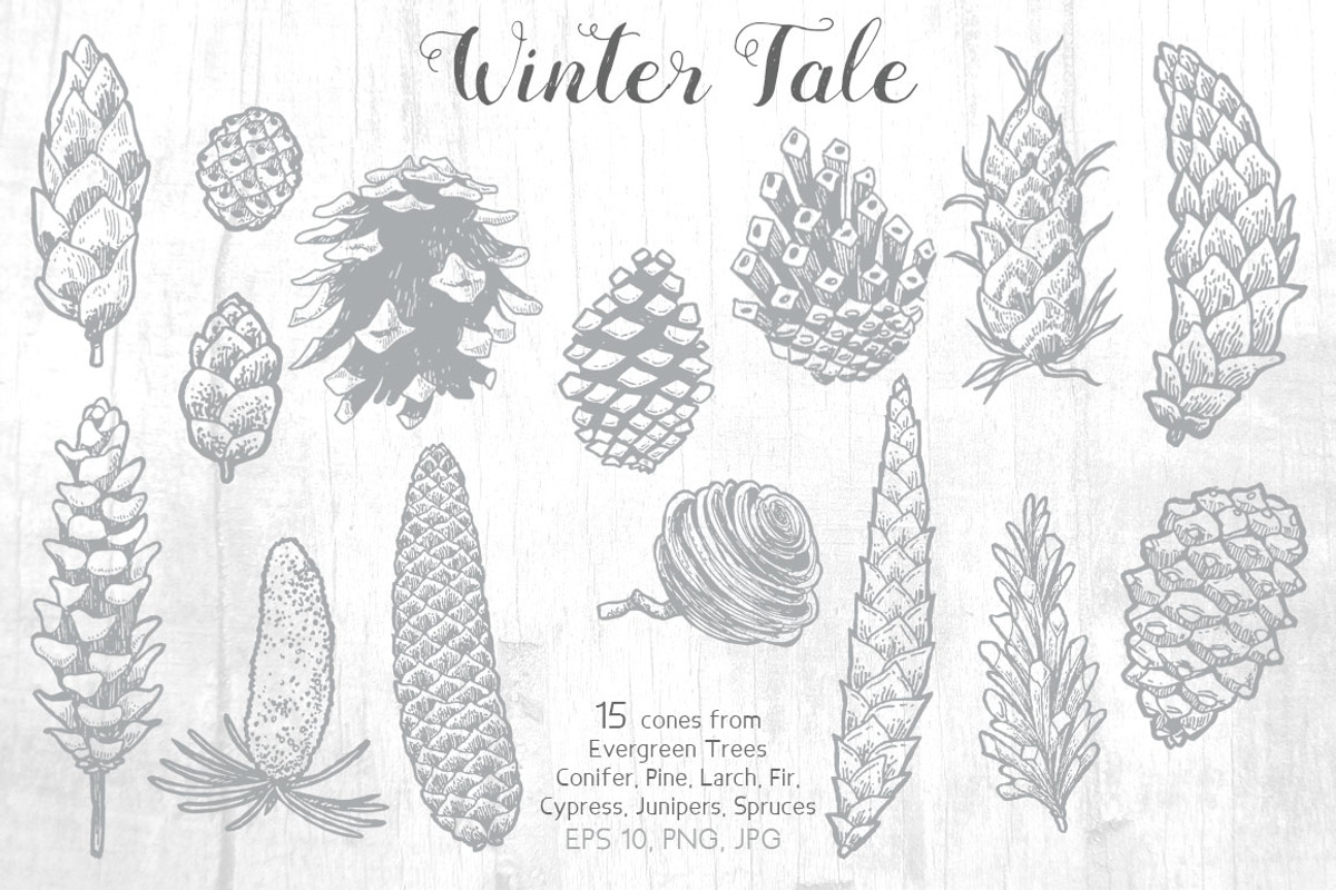 Winter Tale, an Object Graphic by Anastasia (Photo 2 of 15)