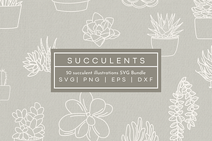 Succulent Illustrations SVG Graphics