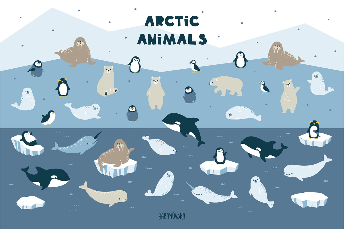 Cute Arctic Animals, a Pattern Graphic by Baranovska (Photo 2 of 10)