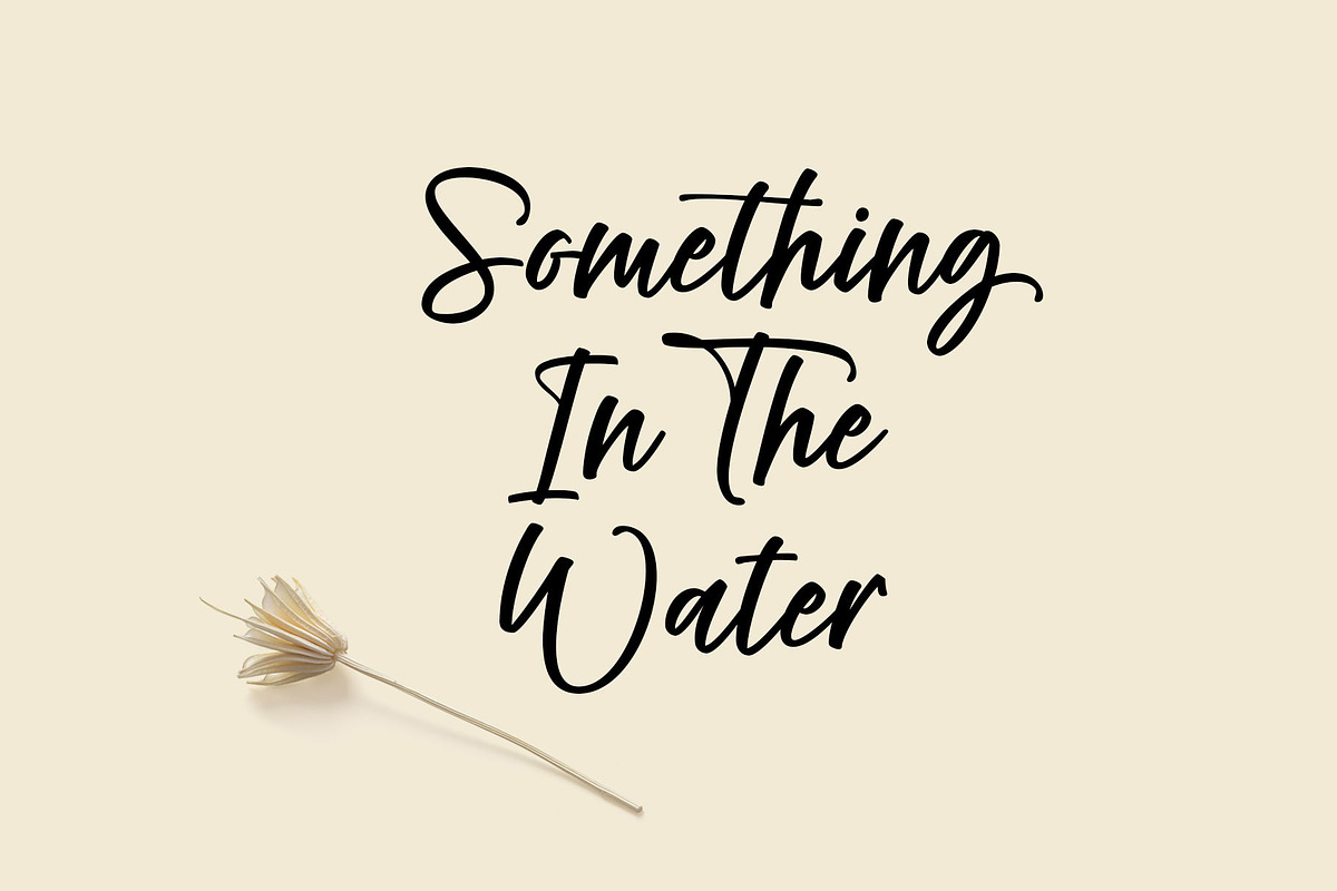 Rambow Script, a Script Font by moriztype (Photo 3 of 8)