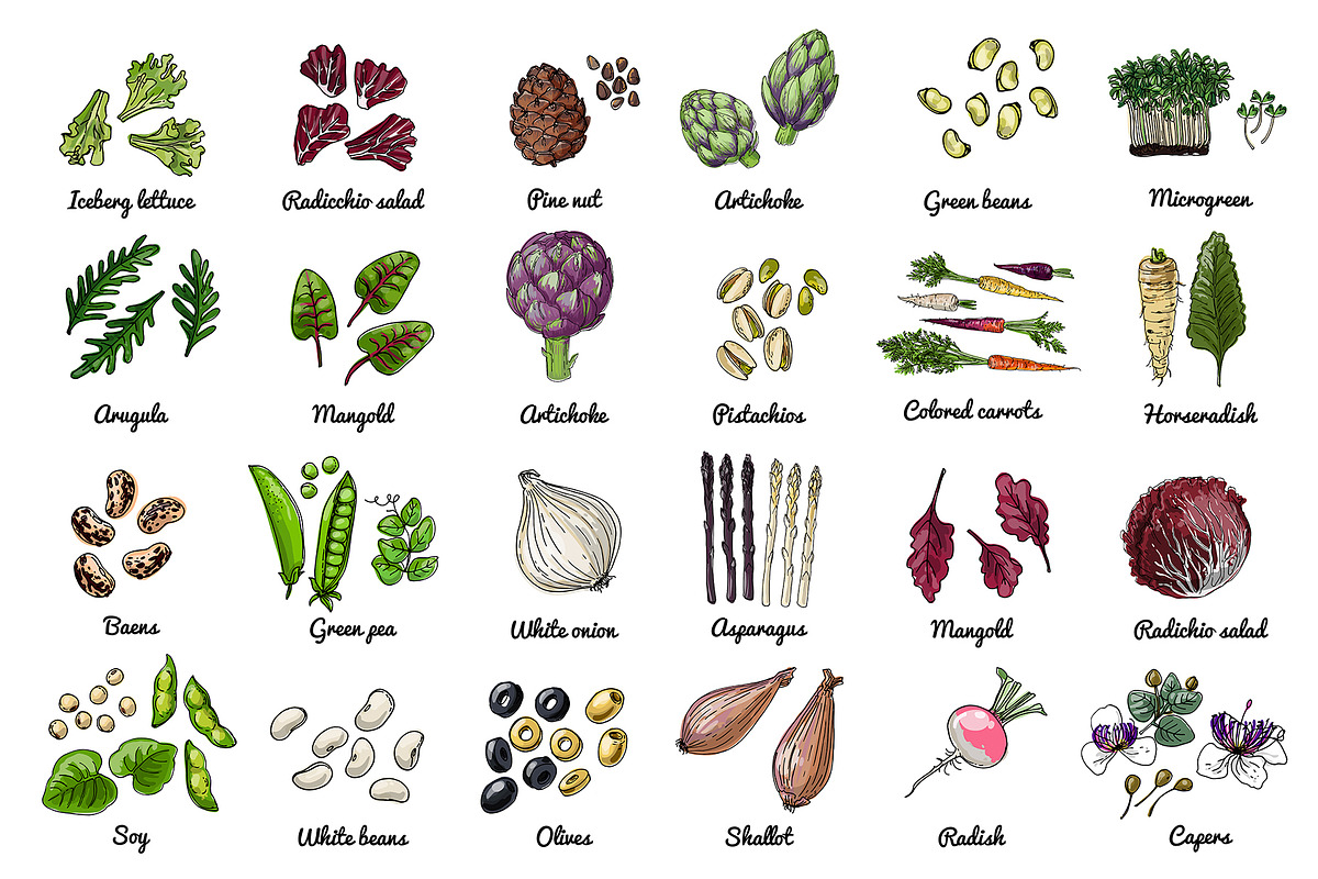 Vector food: vegetables and fruits, a Food Illustration by irina.vaneeva (Photo 11 of 16)