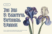 Besquen Modern Gothic Typeface, a Blackletter Font by Heinzel Std (Thumbnail 7 of 13)