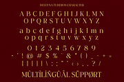 Bellyna Tuberos - Elegant Serif, a Serif Font by RagamKata (Thumbnail 9 of 10)