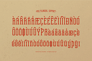 Nopsan | Condensed Display Font, a Slab Serif Font by Denustudios (Thumbnail 11 of 12)