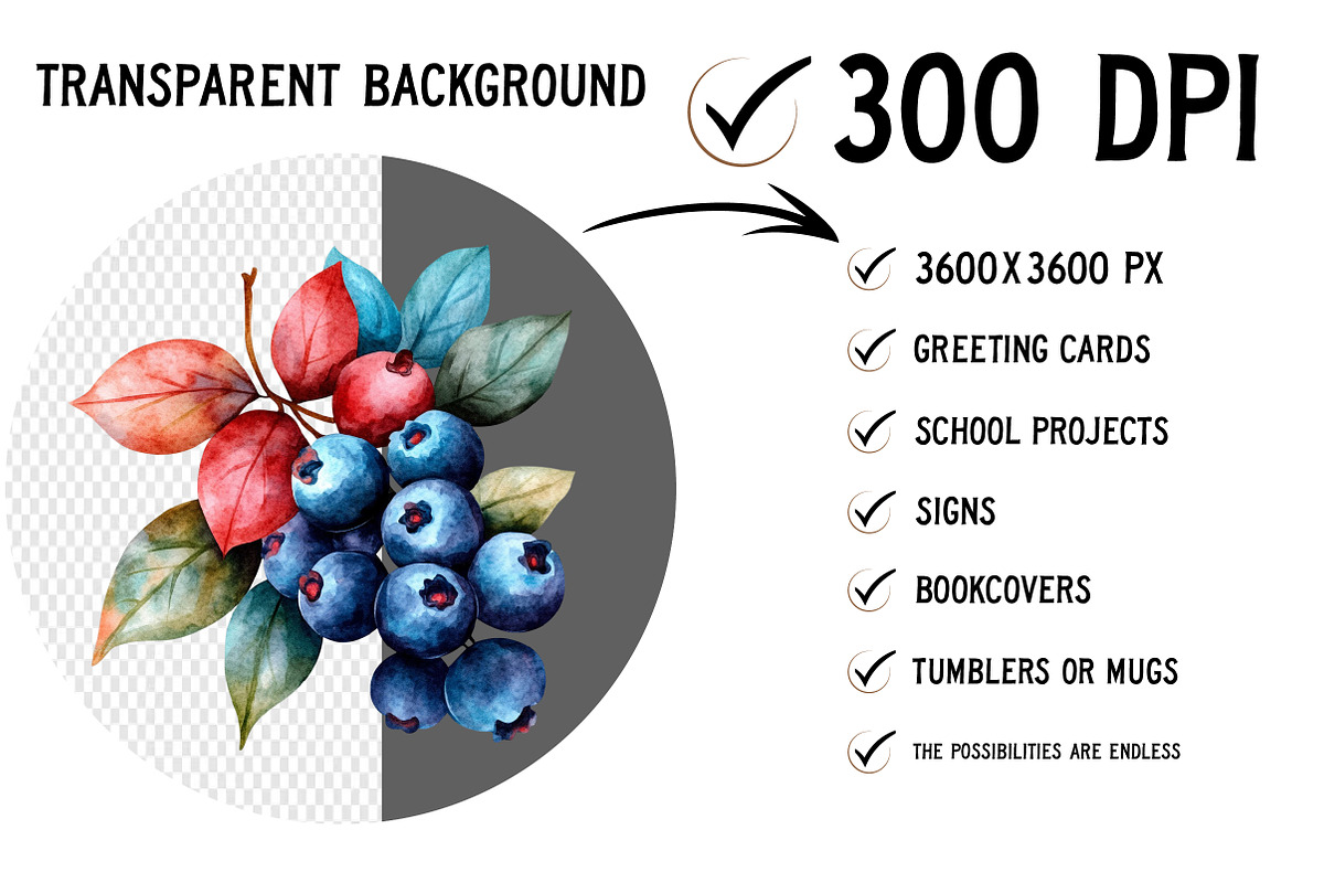 Watercolor Berries Clipart, an Illustration by Craft Nest (Photo 2 of 12)