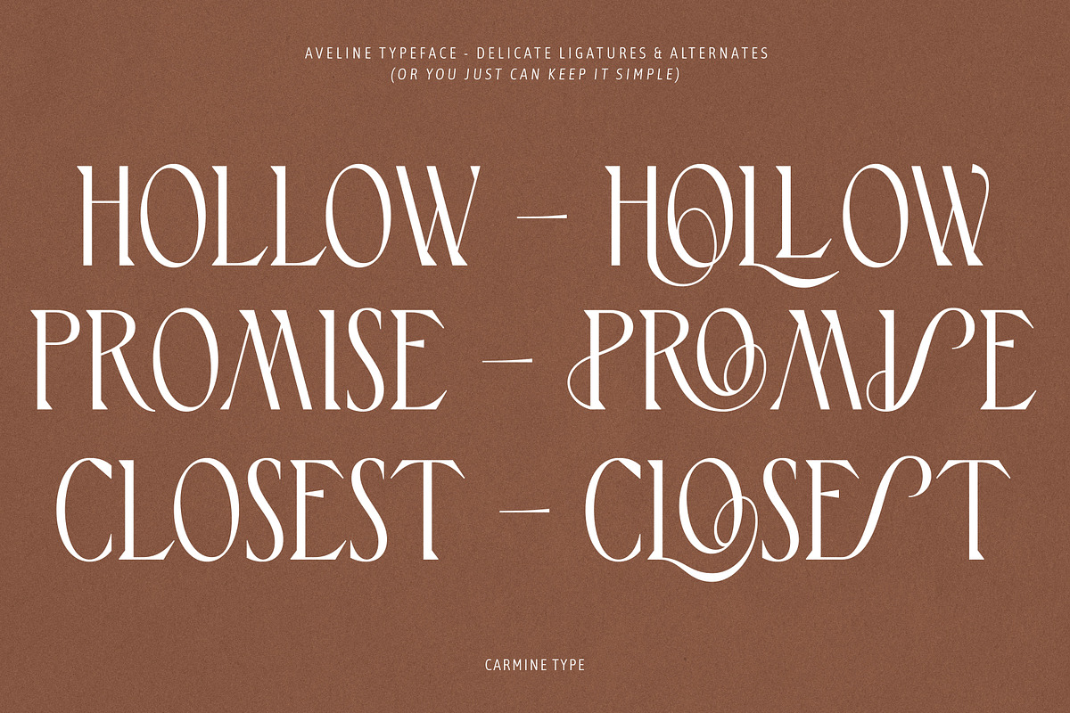 Aveline, Soft Serif with Ligatures, a Serif Font by CarmineType (Photo 26 of 28)