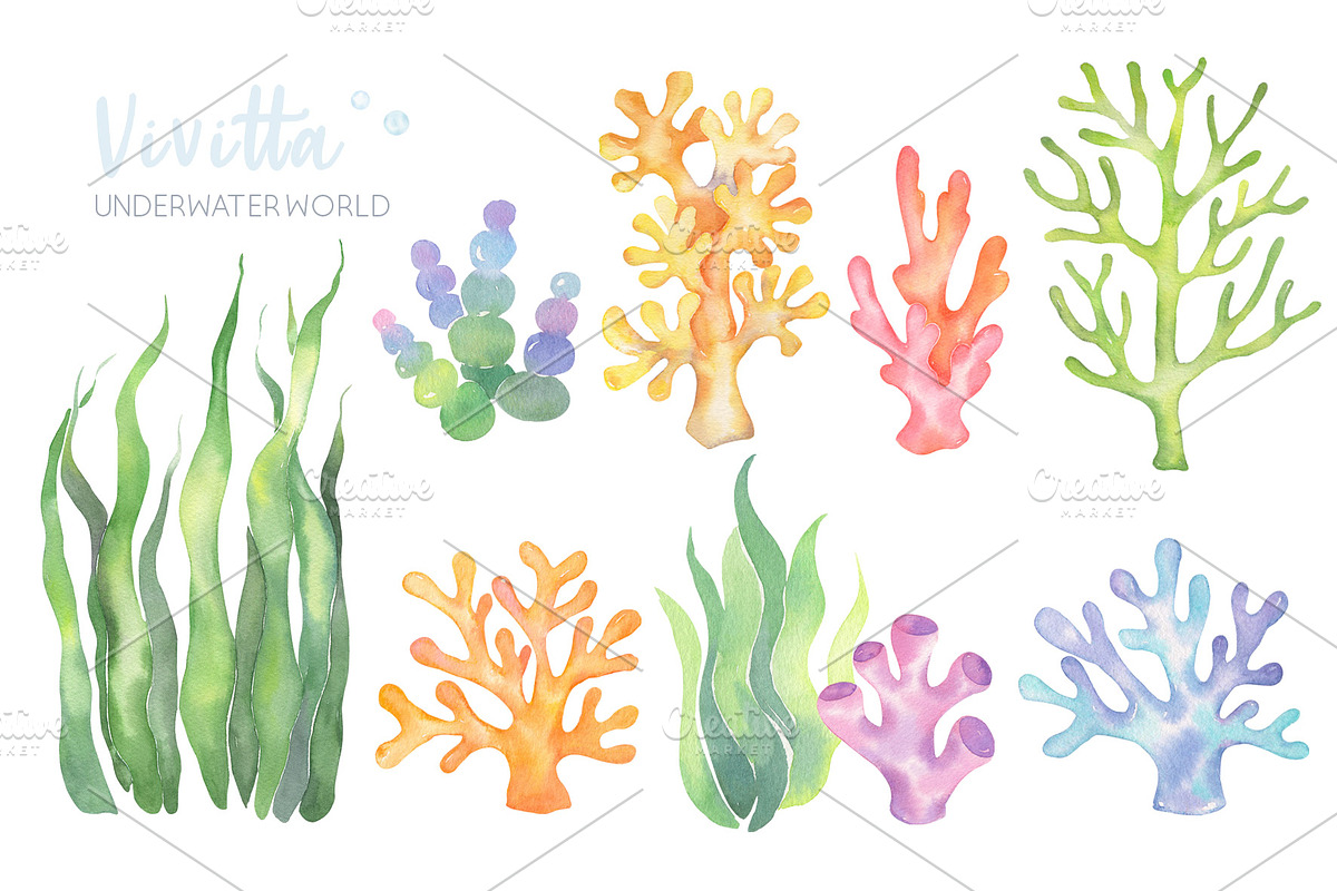 Ocean, sea world, underwater, fishes, an Animal Illustration by Vivitta (Photo 6 of 7)