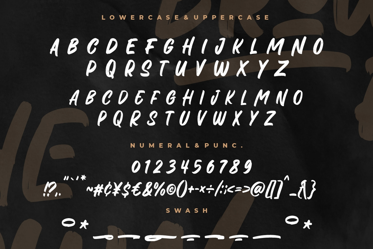 The Brown Fox Stylish Marker, a Script Font by Creatype Studio (Photo 9 of 9)