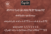 Capella, a Script Font by Larin Type Co. (Thumbnail 9 of 9)