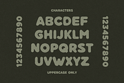 SFC Roundhe, a Sans Serif Font by Skilline Supply Co. (Thumbnail 3 of 9)