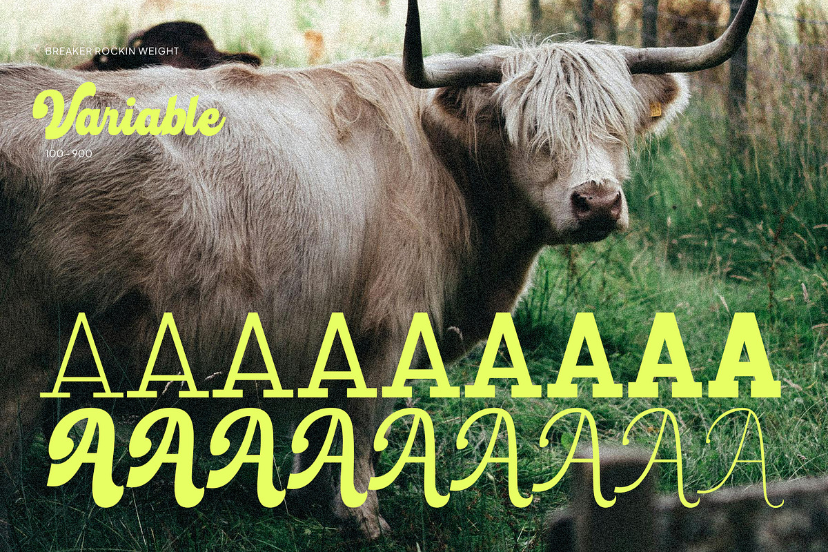Breaker Rockin, a Script Font by Nathatype (Photo 11 of 21)