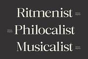 Mckins - Family Serif Font, a Serif Font by Marvadesign (Thumbnail 2 of 9)