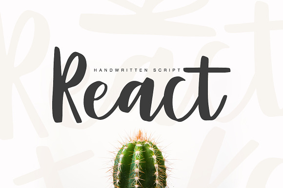 React script preview 8