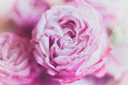 Pion background