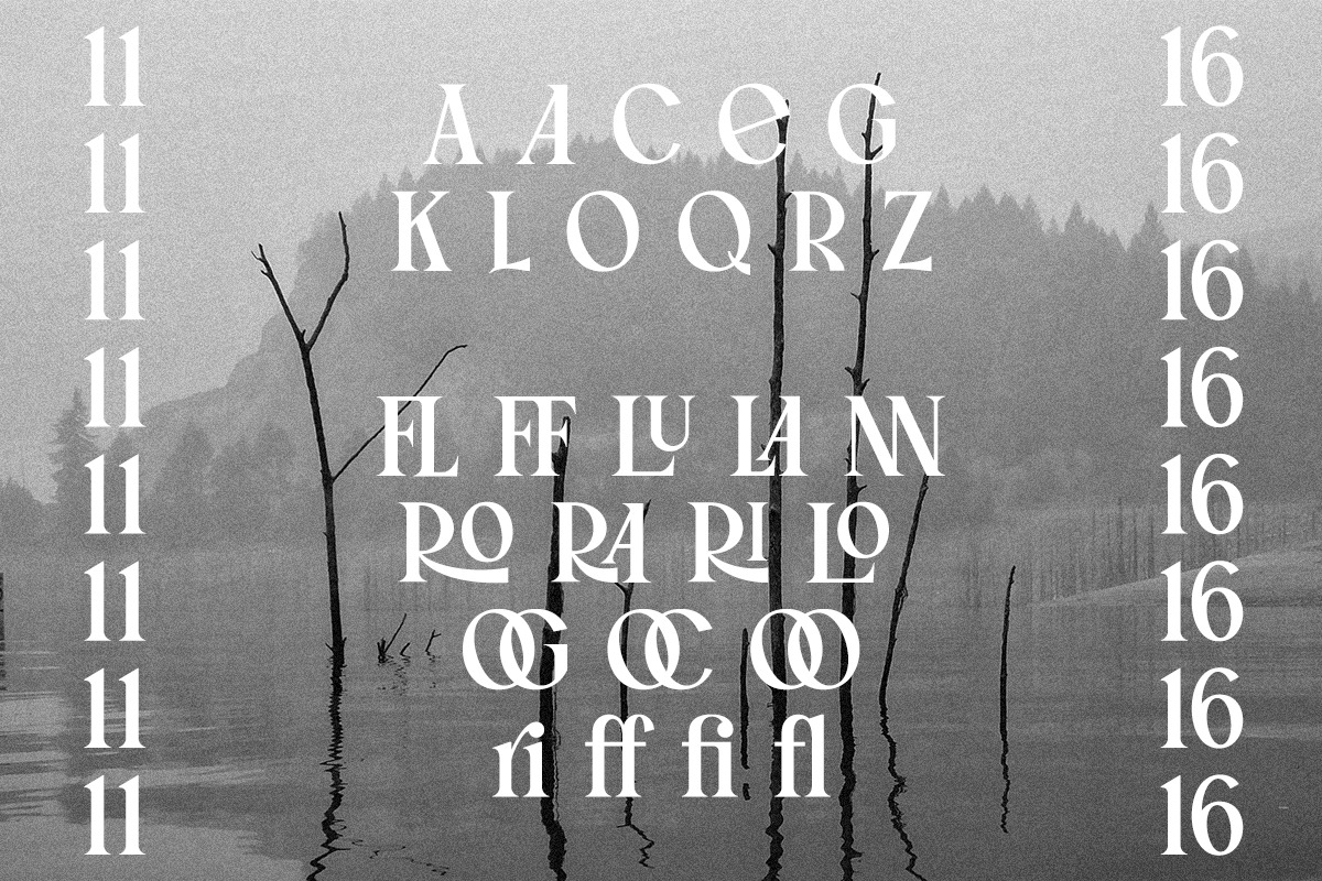 Silver Linings | Vintage Condensed, a Serif Font by ClevUs (Photo 11 of 12)