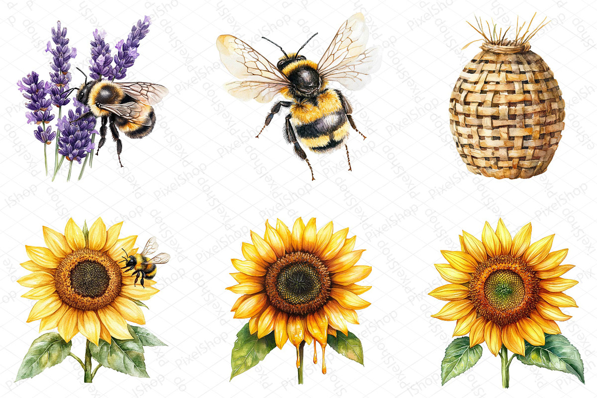 Summer Honey Garden Clipart, an Illustration by DreamPrint404 (Photo 3 of 7)