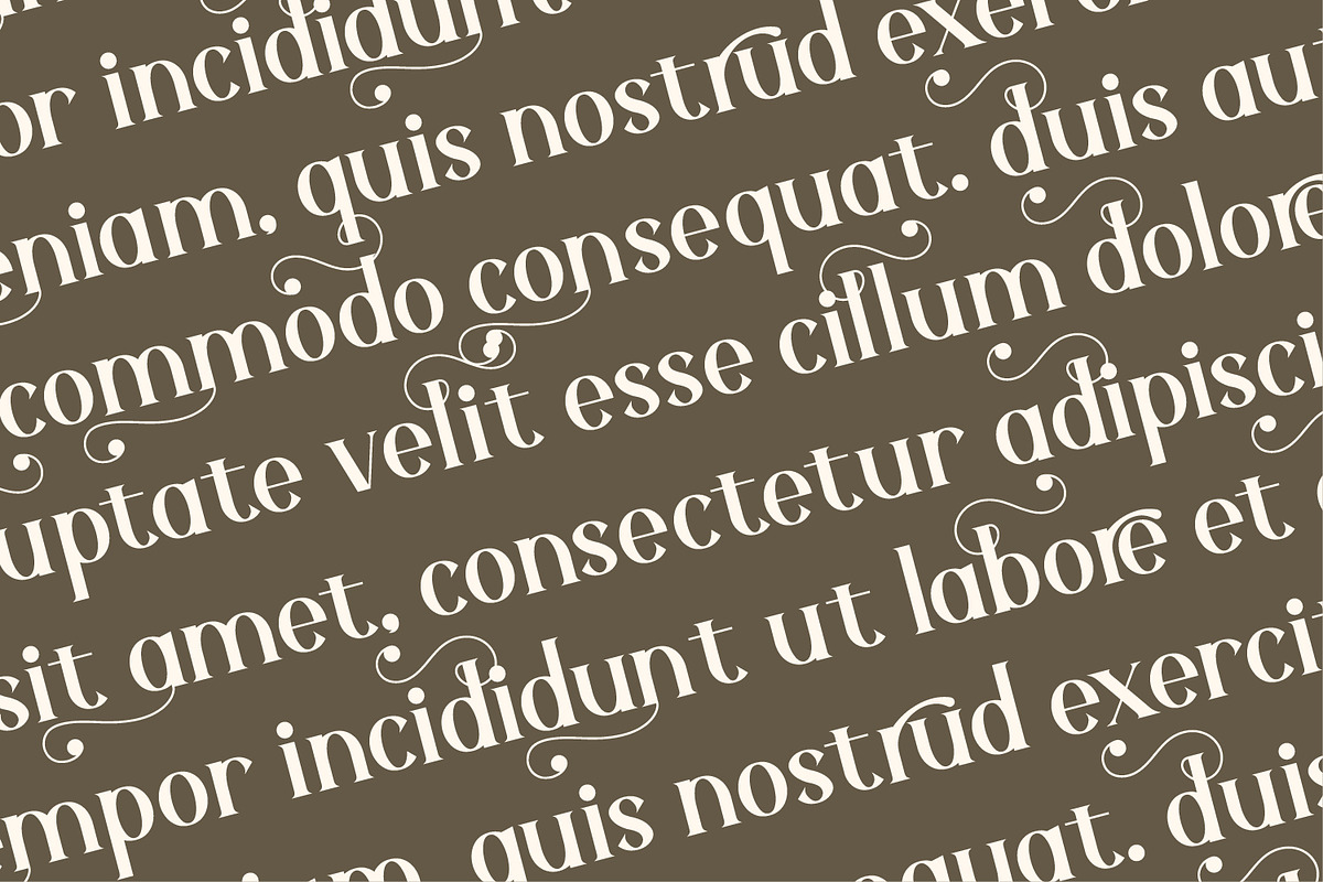 Aurenza - Modern Serif Font, a Serif Font by Rishsketch (Photo 8 of 15)
