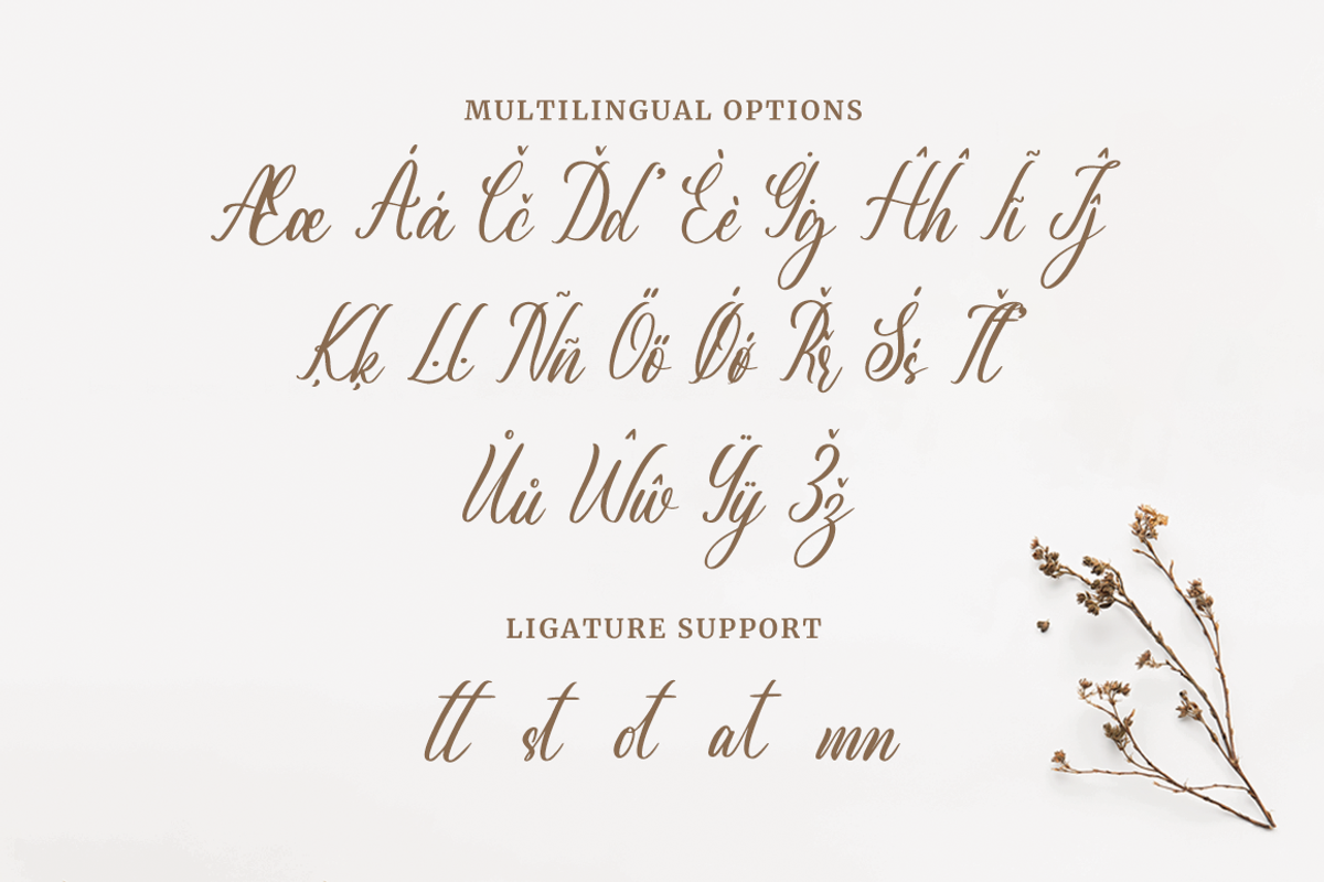 Emiliana a Modern Calligraphy Font, a Script Font by Fatmawati (Photo 11 of 12)