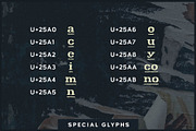 Docket Distressed Typewriter, a Slab Serif Font by Parker Creative (Thumbnail 11 of 11)