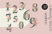 Winter pyracantha and more, an Object Graphic by Collection by VY (Thumbnail 8 of 9)