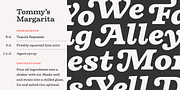 Firelli, a Serif Font by Typejockeys (Thumbnail 6 of 6)
