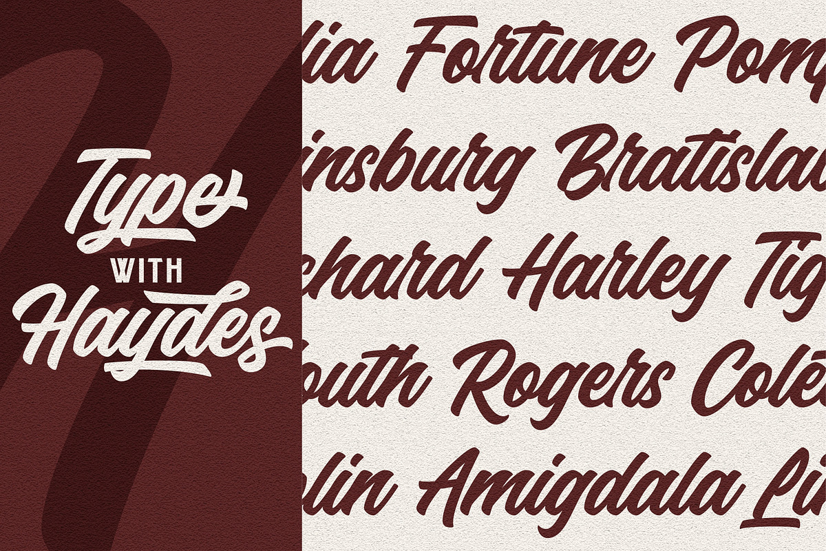Haydes Script Font preview 3