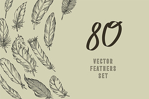 Vector feathers