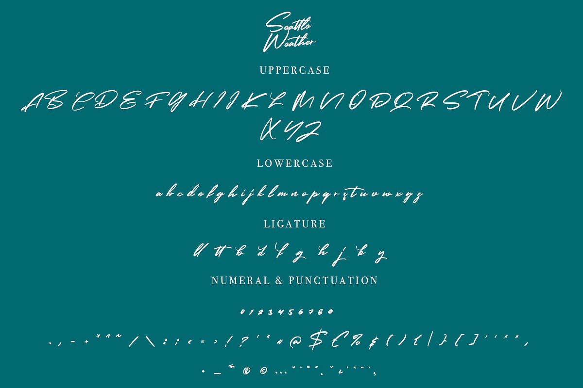 Seattle Weather - Bold Signature, a Script Font by Arendxstudio (Photo 7 of 8)